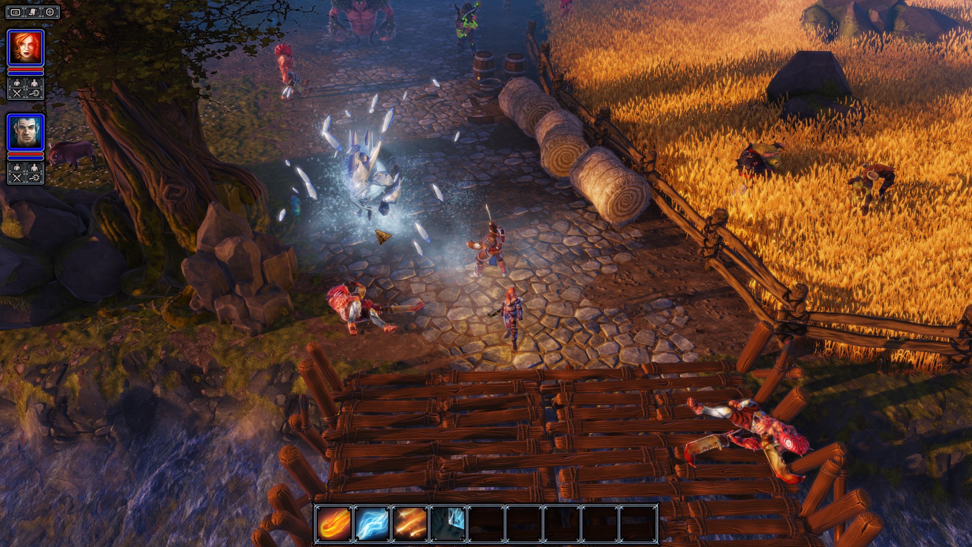 Divinity: Original Sin – Enhanced Edition