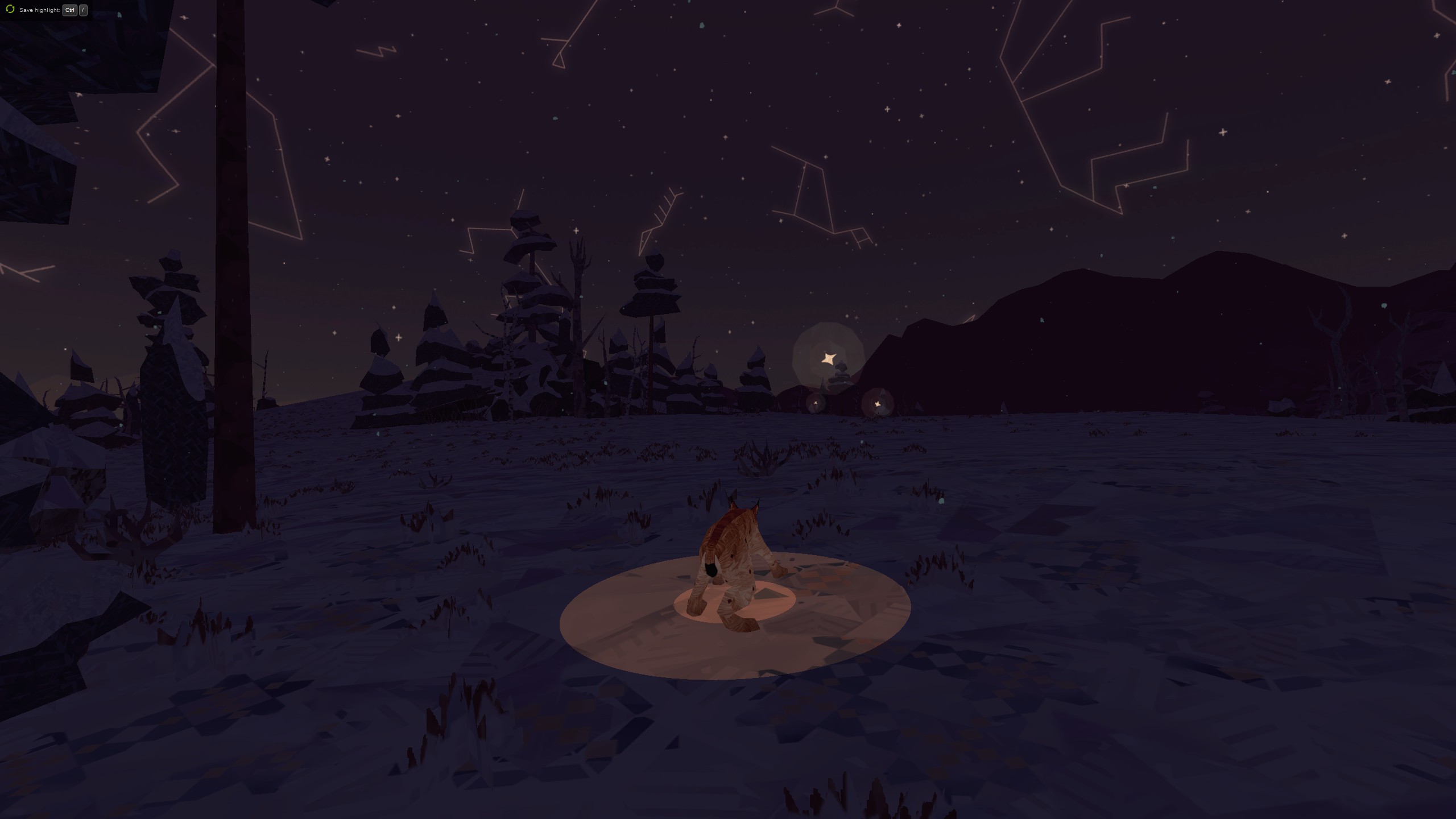 Shelter 2