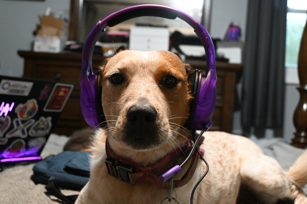 Turtle Beach Airlite™ Fit Wired Gaming Headset