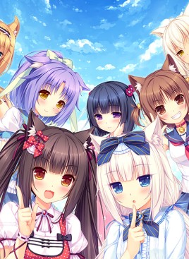 boxart