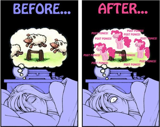 brony.jpg