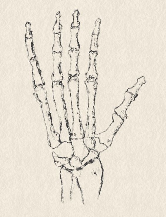 hand.jpg