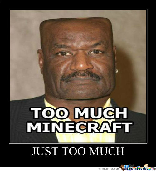 toomuchminecraft.jpg