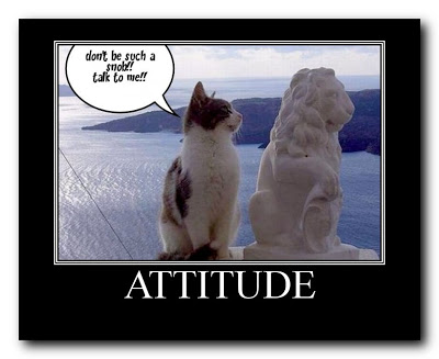 attitude.jpg