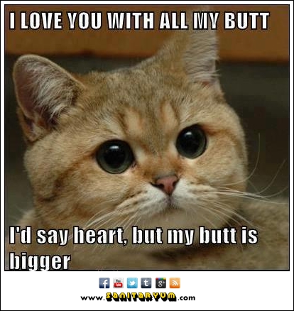 butt.jpg