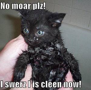 clean.jpg