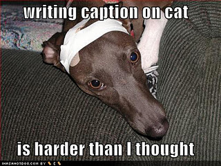 captions.jpg